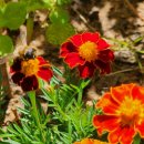 평화컴퓨터세탁 이미지