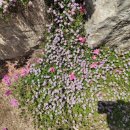 심천치유자연휴양림 이미지