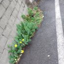 서변 경로당 이미지