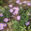 비산성모유치원 이미지