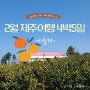 2월 제주도여행 힐링여행 이었던 4박 5일