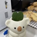 카페오이사 이미지