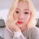 안지영 카카오 검색결과