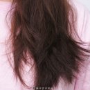 쥬니헤어 - 사하구 | 쥬니헤어