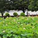 詩가 된 풍경 이미지