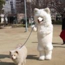 누 이미지