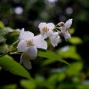 미륵산 약수터 이미지