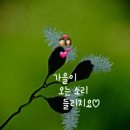 무봉산장 이미지