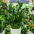 설화약국 이미지