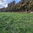 서성목장 이미지