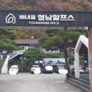 영남 행정사사무소 이미지