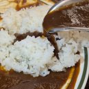 내맘대로밥집 | [이대/신촌역 맛집] 혼밥 가능 밥집 "아비꼬 신촌점" 일식 카레, 하야시라이스 맛집!