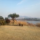 5. 03(토) 카멜리아호 모종 대회 이미지