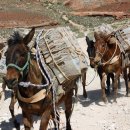 수빌리지 이미지