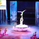 베이징 서커스 공연 사진 공개합니다. 북경선성서비스 www.sunsung.co.kr 한국전화:***-****-**** 중국전화:139-1020-0307 이미지