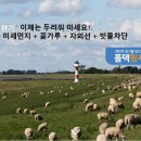 고려태권도 이미지