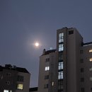 정월대보름 달🌕...하구 약간의 사담(?) 이미지