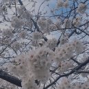 명륜진사갈비대전중촌점 이미지