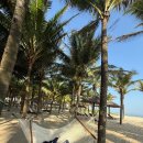 600동화장실 | 다낭 빈맥병원 5살 장염 임산부 수액 노로바이러스 후기