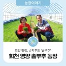 조성동농장 이미지