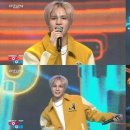 유.니드 스포츠경향