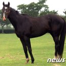 물밑목장 이미지