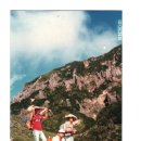 한라산석유 이미지