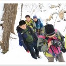 한일맛집 이미지