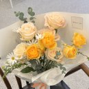 엠에스스튜디오 이미지