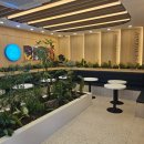 노원-현장-1602 | 노원맛집ㅣ호텔식뷔페를 맛볼 수 있는 프리미엄샤브샤브 샤브올데이 서울상계점 후기.