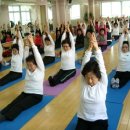 실버 요가 이미지