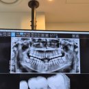 양지바른치과의원 이미지