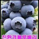 비당농장 이미지