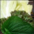 선우화로막창 이미지