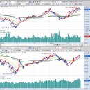 (주)엔지브이아이 이미지