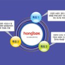 홍박디자인브랜딩 이미지
