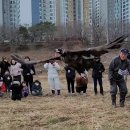 울산광역시야생동물구조관리센터 이미지