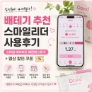 스마일언니 | [임신준비] 배테기 추천 | 스마일리더 앱 사용법, 데이비드 배란테스트기 사용후기 (+엽산 할인쿠폰)