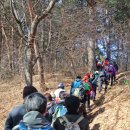 바우길 16구간 이미지