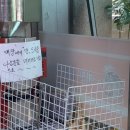 예찬솥밥추어탕 이미지