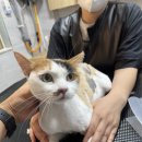 함께냥 본점 이미지