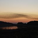 내고향서천 이미지