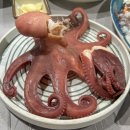 참스큐도두점