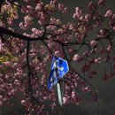 대지로 3번길 이미지