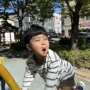 🍁정진반🍁2학기 부모참관수업-보고, 찾고, 생각하고! 우리는 문화재 탐정단&amp;호박놀이터 이미지