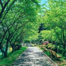 동신대학교 미래학사 앞 이미지