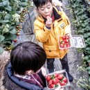 후신농장 이미지