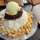 가오카센타 이미지