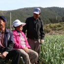 서울앵글 - 서구 봉수대로 1324 | 서울앵글
