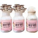 버섯 병종균(甁種菌)과 배지(培地) 이미지